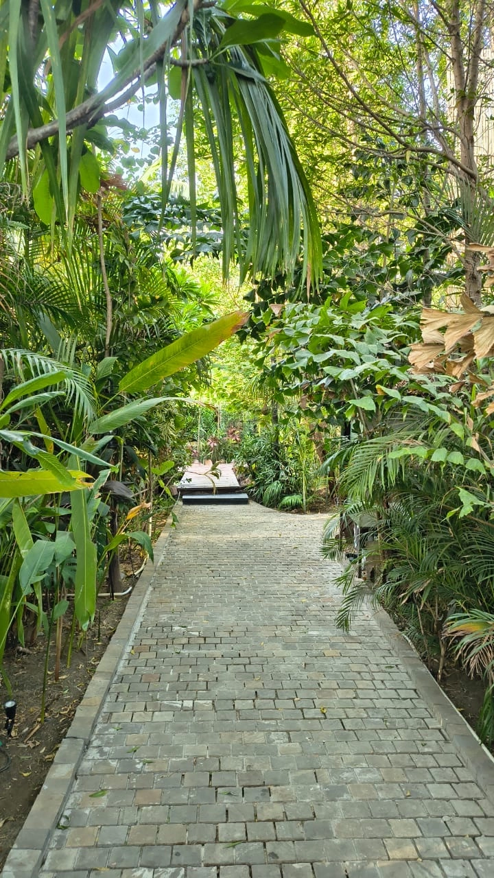Modern Resort - Image 106 of 108
